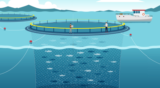 Aquaculture
