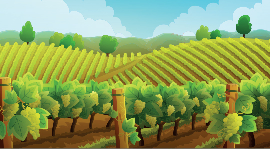 Horticulture and Viticulture